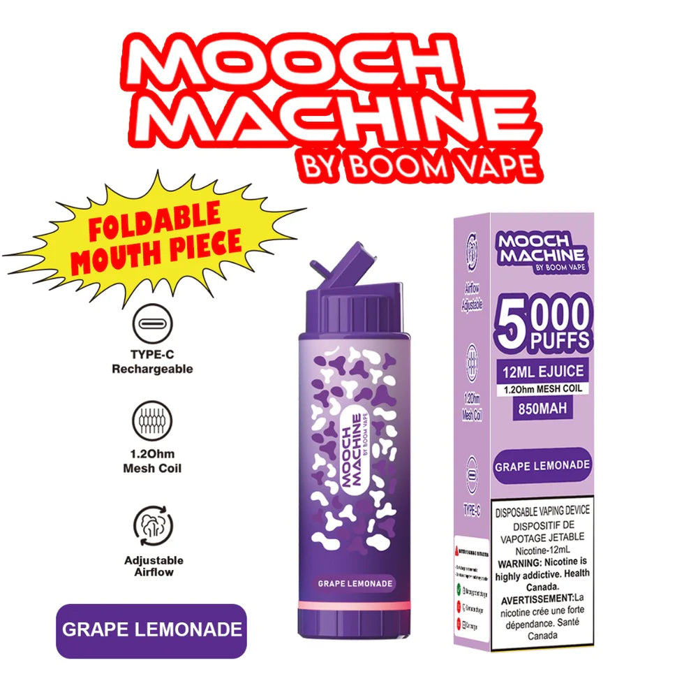 Mooch Machine 5000 puffs