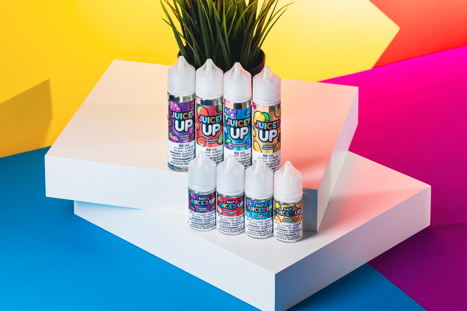 Juiced Up Salts - 30ML (ONTARIO)