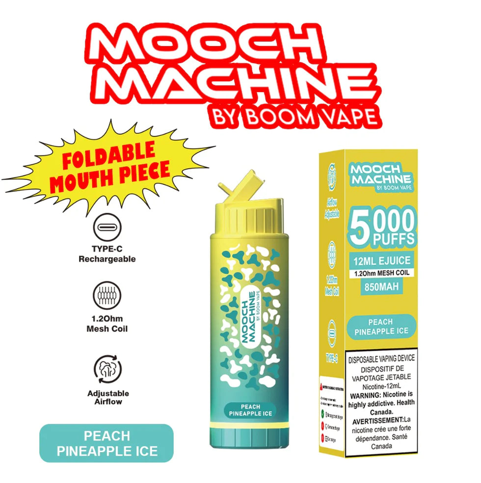 Mooch Machine 5000 puffs