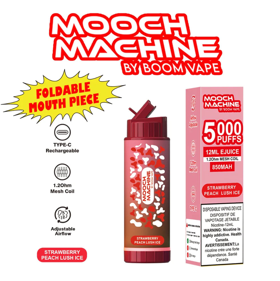 Mooch Machine 5000 puffs
